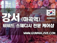 강서 마곡역 [비비드] 이미지