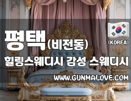 평택 비전동 [힐링스웨디시] 이미지