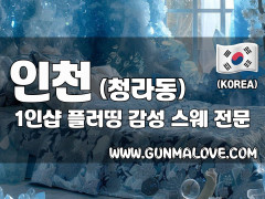 인천 청라동 1인샵 [플러띵] 이미지