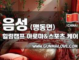 음성 맹동면 [힐링캠프] 이미지