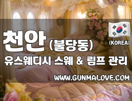 천안 불당동 [유스웨디시] 이미지
