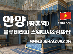 안양 평촌역 [블루테라피] 이미지