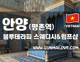 안양 평촌역 [블루테라피] 이미지