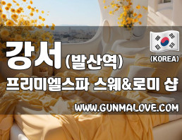 강서 발산역 [프리미엘스파] 이미지