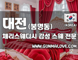 대전 봉명동 [체리스웨디시] 이미지