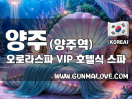 양주 양주역 [오로라스파] 이미지