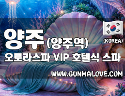 양주 양주역 [오로라스파] 이미지