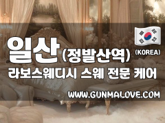 일산 정발산역 [라보스웨디시] 이미지