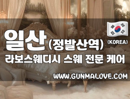 일산 정발산역 [라보스웨디시] 이미지