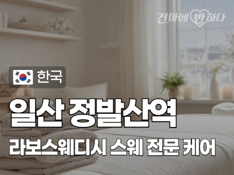 일산 정발산역 [라보스웨디시] 이미지