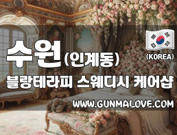 수원 인계동 [블랑테라피] 이미지