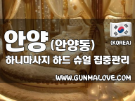 안양 안양동 [하니마사지] 이미지