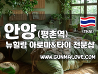 안양 평촌역 [뉴힐링] 이미지