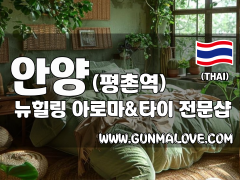 안양 평촌역 [뉴힐링] 이미지