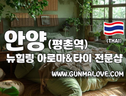 안양 평촌역 [뉴힐링] 이미지