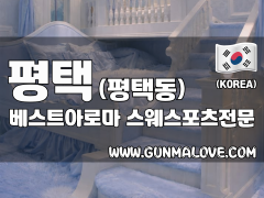 평택 평택동 [베스트아로마] 이미지