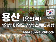 용산 용산역 1인샵 [마일드] 이미지