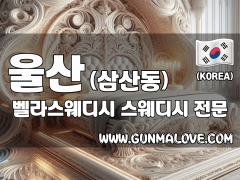 울산 삼산동 [벨라스웨디시] 이미지