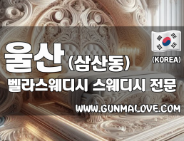 울산 삼산동 [벨라스웨디시] 이미지