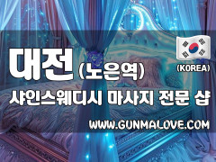 대전 노은역 [샤인스웨디시] 이미지