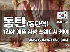 동탄 동탄역 1인샵 [애플] 이미지