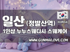 일산 정발산역 1인샵 [누누스웨디시] 이미지