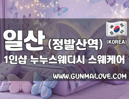 일산 정발산역 1인샵 [누누스웨디시] 이미지