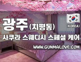 광주 치평동 [사쿠라] 이미지