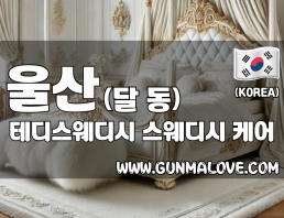 울산 달동 [테디스웨디시] 이미지