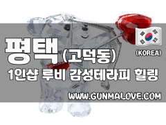 평택 고덕동 1인샵 [루비] 이미지