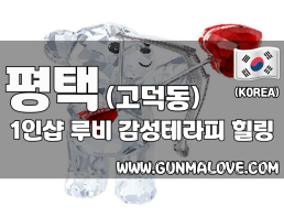 평택 고덕동 1인샵 [루비] 이미지