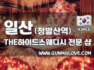 일산 정발산역 [THE하이드스웨디시] 이미지