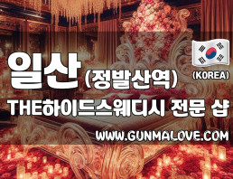 일산 정발산역 [THE하이드스웨디시] 이미지