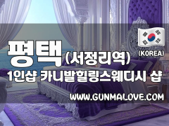 평택 서정리역 1인샵 [카니발힐링스웨디시] 이미지