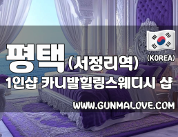 평택 서정리역 1인샵 [카니발힐링스웨디시] 이미지