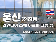 울산 전하동 [라인타이] 이미지