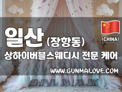 일산 장항동 [상하이버블스웨디시] 이미지
