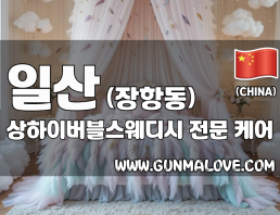 일산 장항동 [상하이버블스웨디시] 이미지