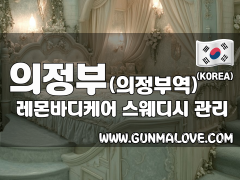 의정부 의정부동 [레몬바디케어] 이미지