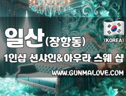 일산 장항동 1인샵 [션샤인&아우라] 이미지