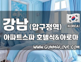 강남 압구정역 [아파트스파] 이미지