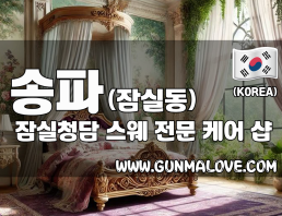 송파 잠실동 [잠실청담] 이미지