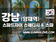 강남 양재역 [스파드자이] 이미지