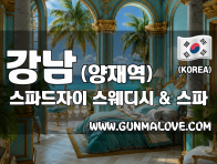 강남 양재역 [스파드자이] 이미지