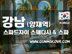 강남 양재역 [스파드자이] 이미지