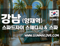 강남 양재역 [스파드자이] 이미지