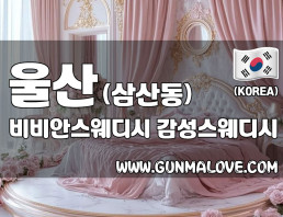 울산 삼산동 [비비안스웨디시] 이미지