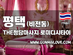 평택 비전동 [THE청담마사지] 이미지