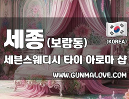 세종 보람동 [세븐스웨디시] 이미지