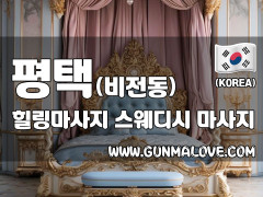 평택 비전동 [힐링마사지] 이미지